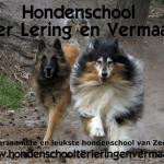Hondenschool Ter Lering en Vermaak, Domburg, Zeeland